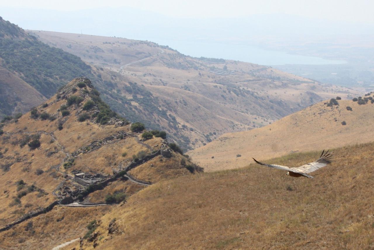 Spa Of Nature Ani'am Dış mekan fotoğraf